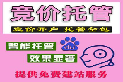 竞价推广代运营服务效果展示
